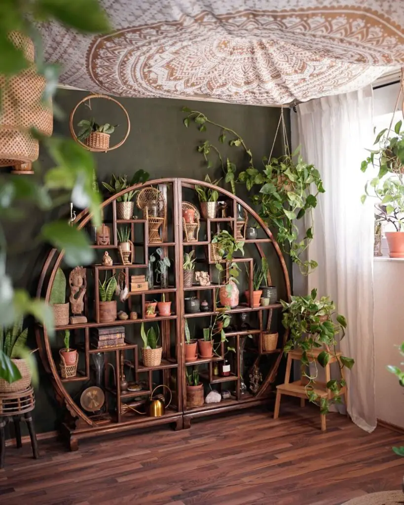 plants living room decor