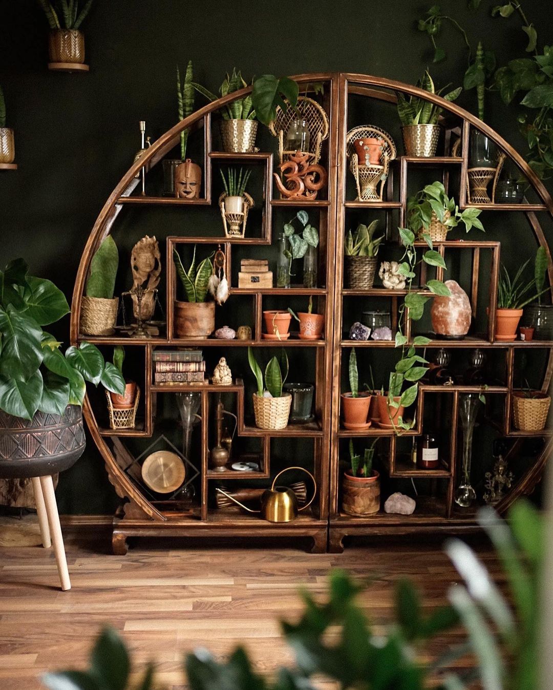 How to Incorporate Plants into Your Living Room Decor - HouzEdit (2023)