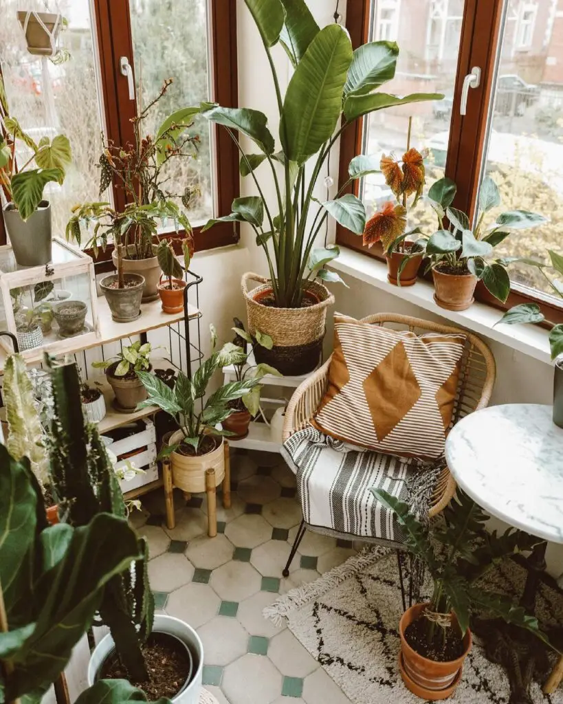 indoor plants home decor