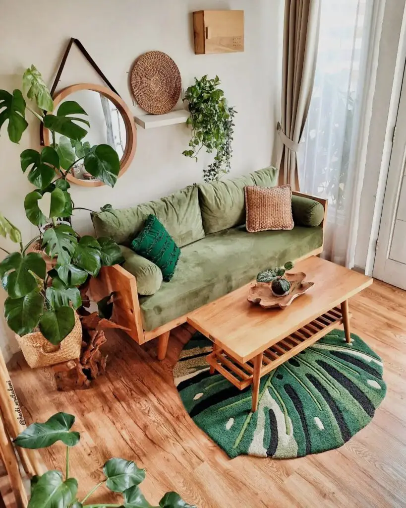 indoor plants living room decoration